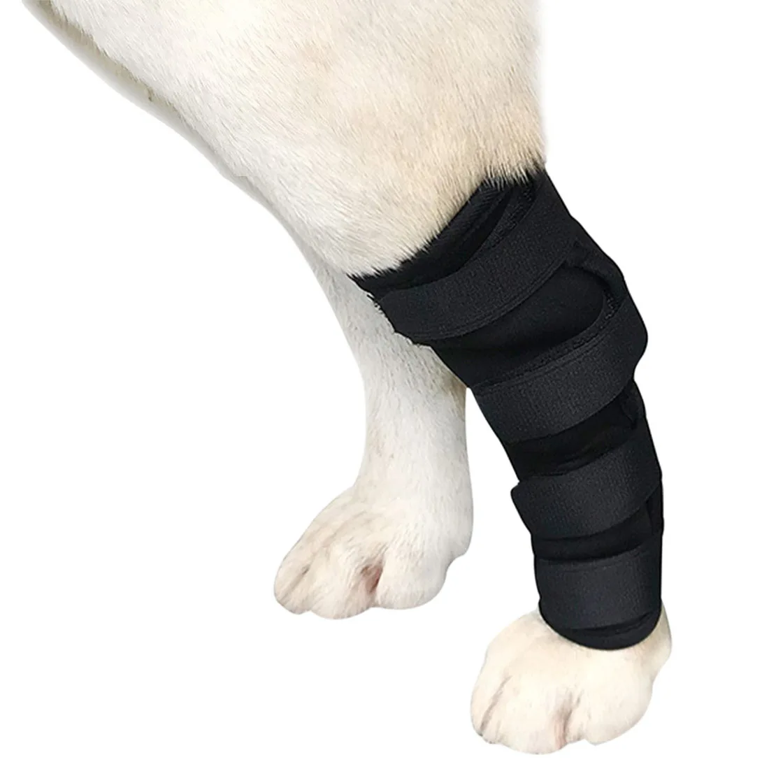 Pet Knee Pads Recover Injury Legs Pet Hock Brace Dog Protector Support