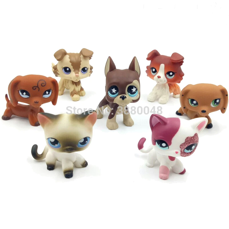 Редкие pet shop lps игрушки стоят littlest короткошерстая кошка собака колли такса кокер-спаниель дог аниме игрушки для детей