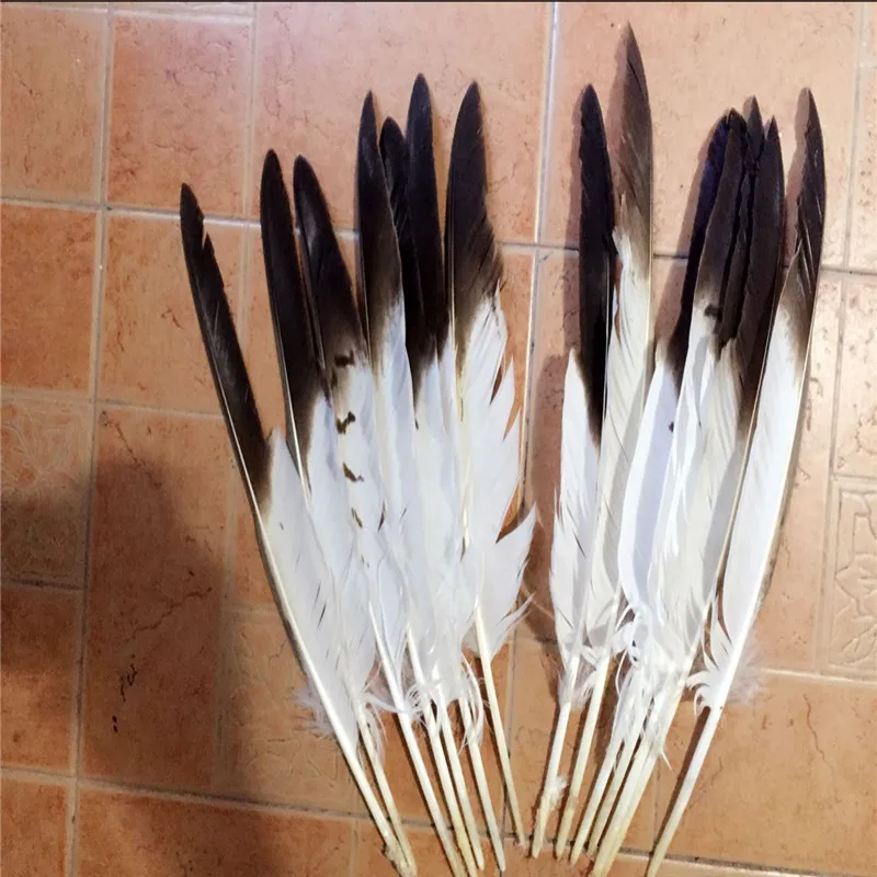

The new 2016 beautiful natural color eagle feather dao yi 10 pcs35-40 cm (14 to 16 inches) eagle feathers