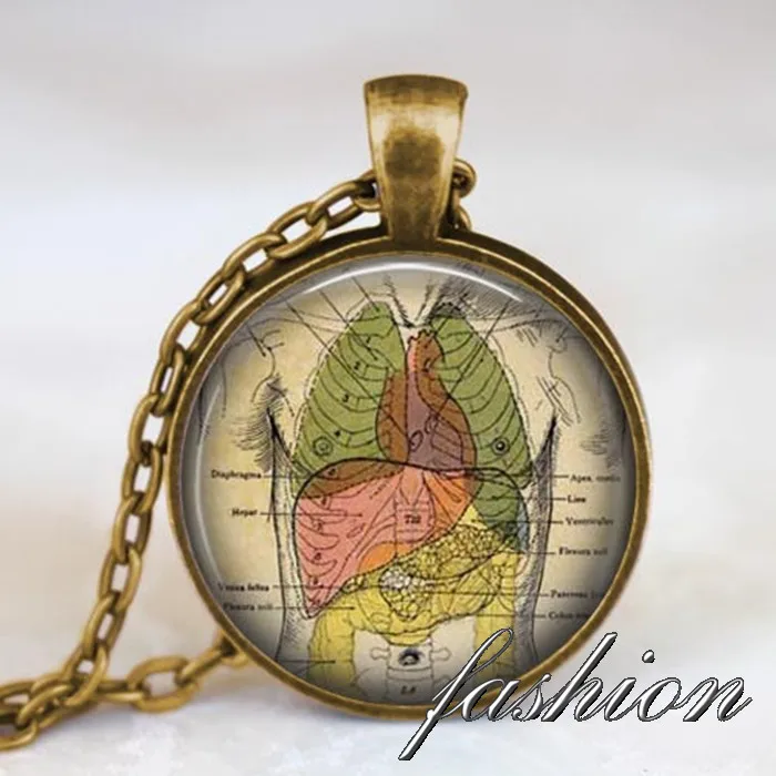 Buy Anatomical necklace,human anatomy pendant