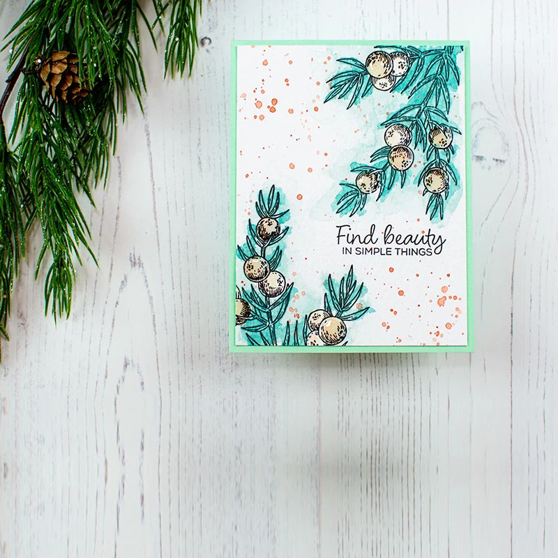 

AZSG Branch Leaves Fruit Clear Stamps/Seals For DIY Scrapbooking/Card Making/Album Decorative Silicone Stamp Crafts