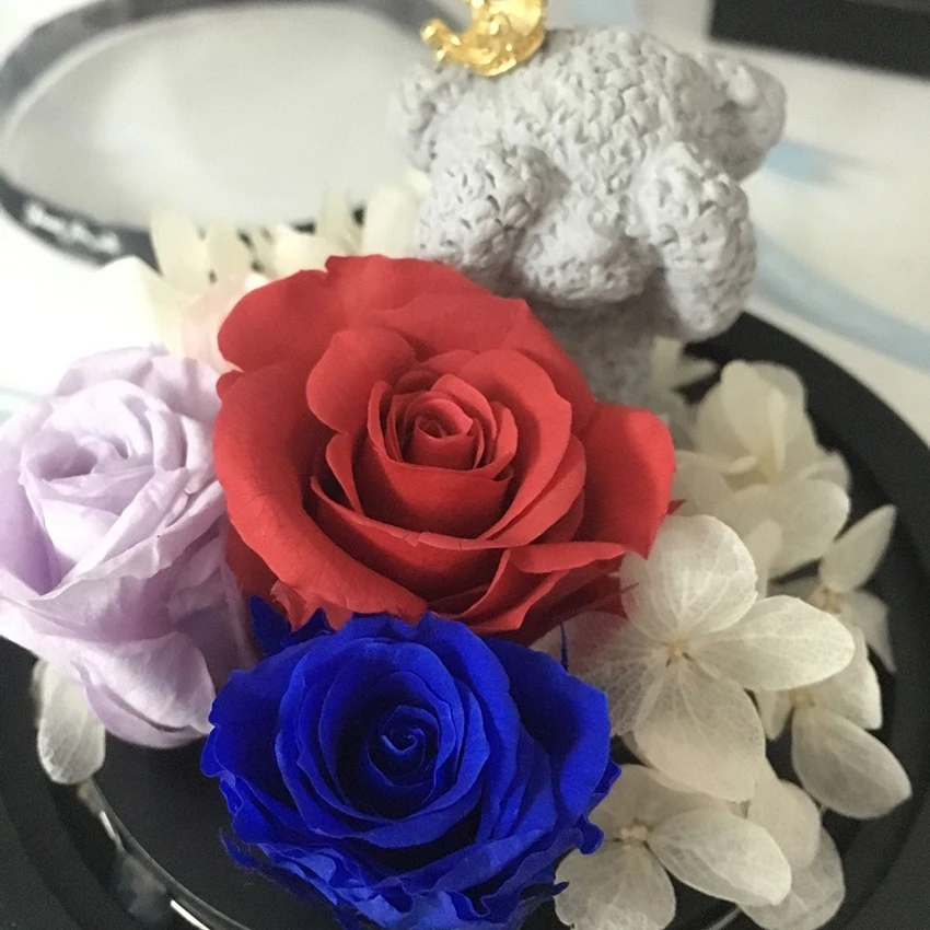 

Real Roses In Flask Glass Dome Real Rose Beauty And The Beast Eternal Preserved Rose Valentines Day Gift Girlfriend Birthday