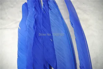 

Wholesale 100pcs12-14inch royal blue Turkey wing Feathers turky wing for feather headdress feather supplies decor