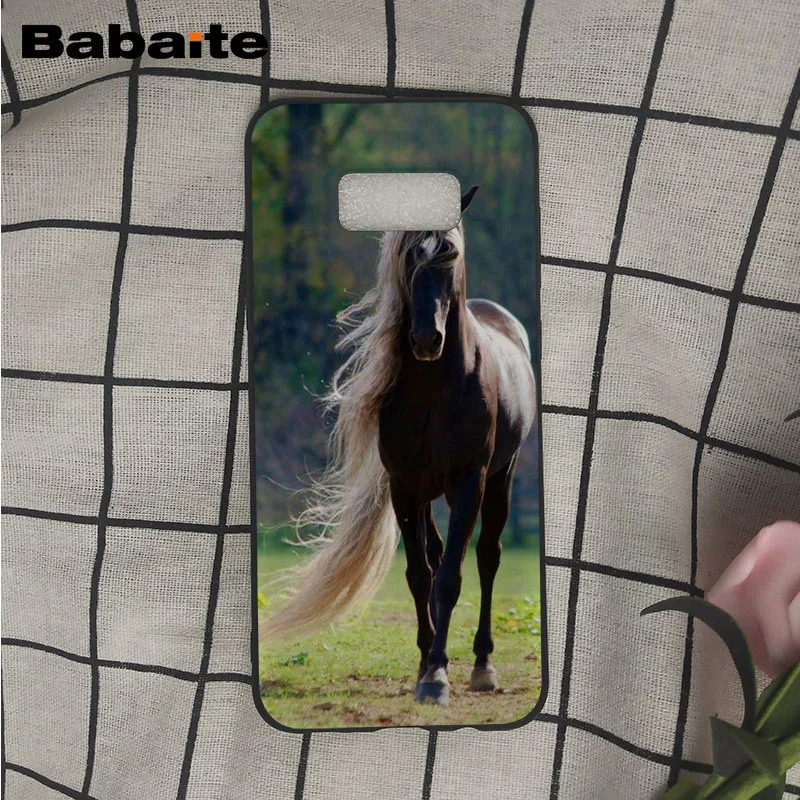 Frederik The Great beauty horse