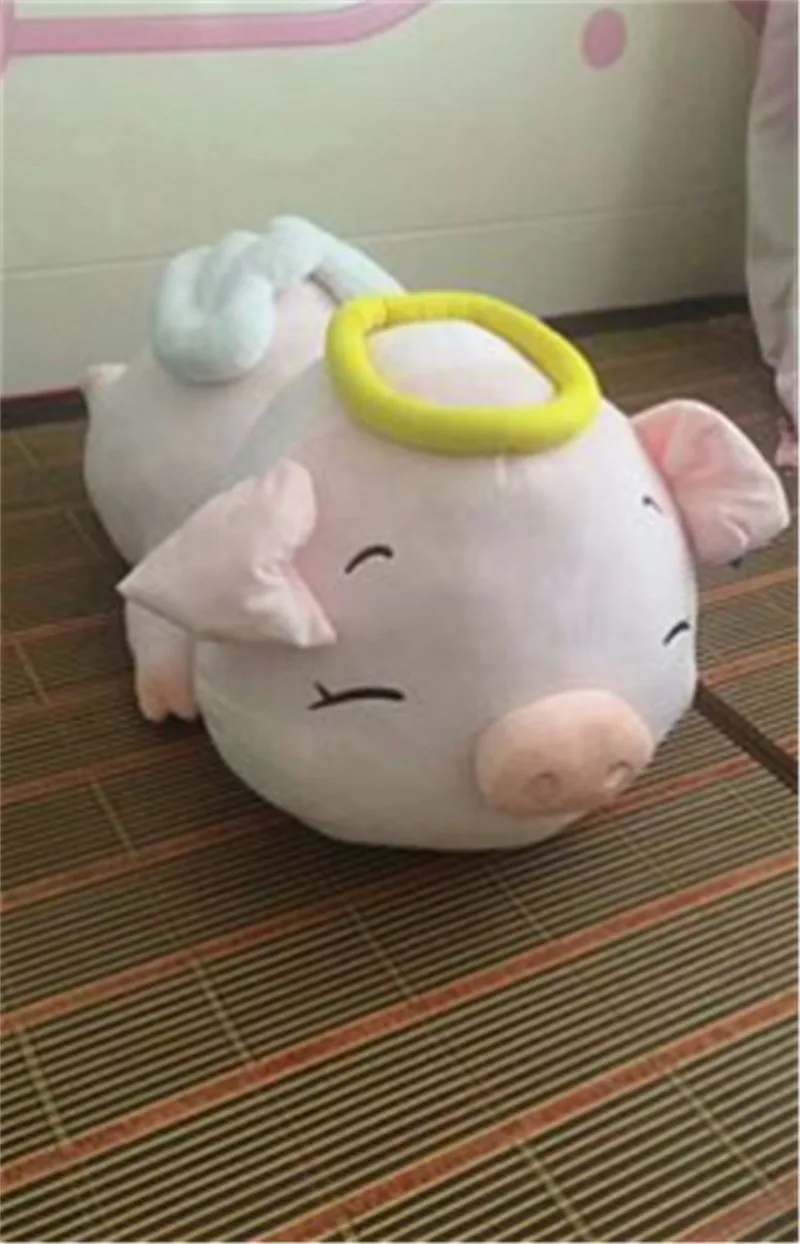 angel pig4