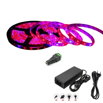 

LED Grow light Full Spectrum 5M LED Strip light 5050 LED Flower Plant Phyto Growth lamps For Greenhouse Hydroponic Plant Growing