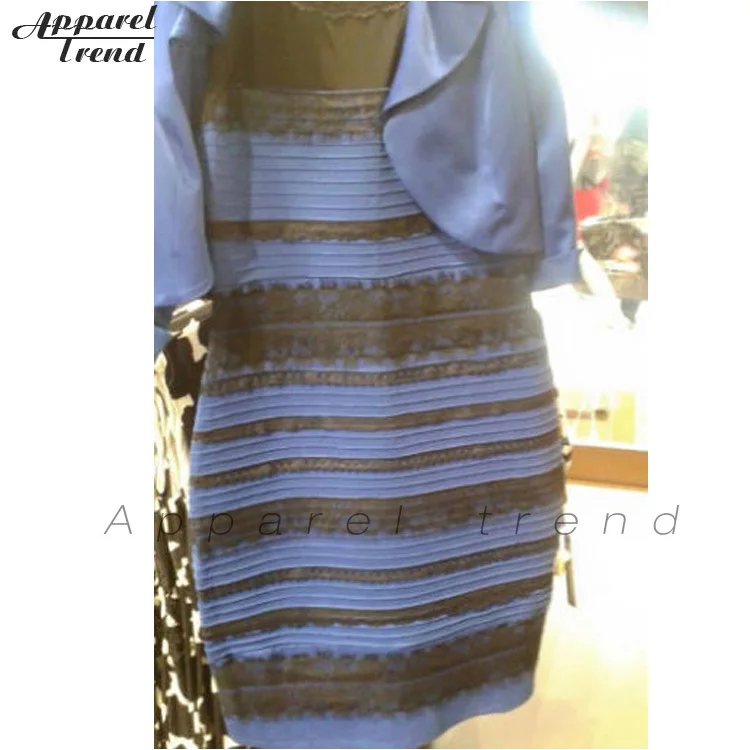 royal blue lace detail bodycon dress