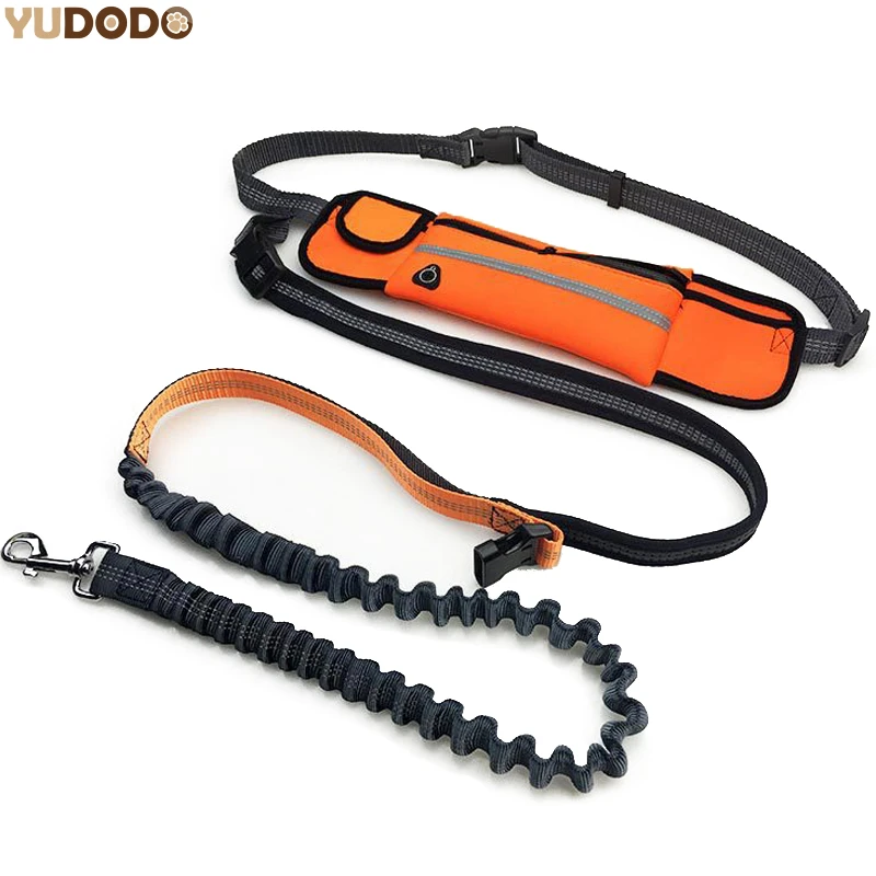 elastic leash
