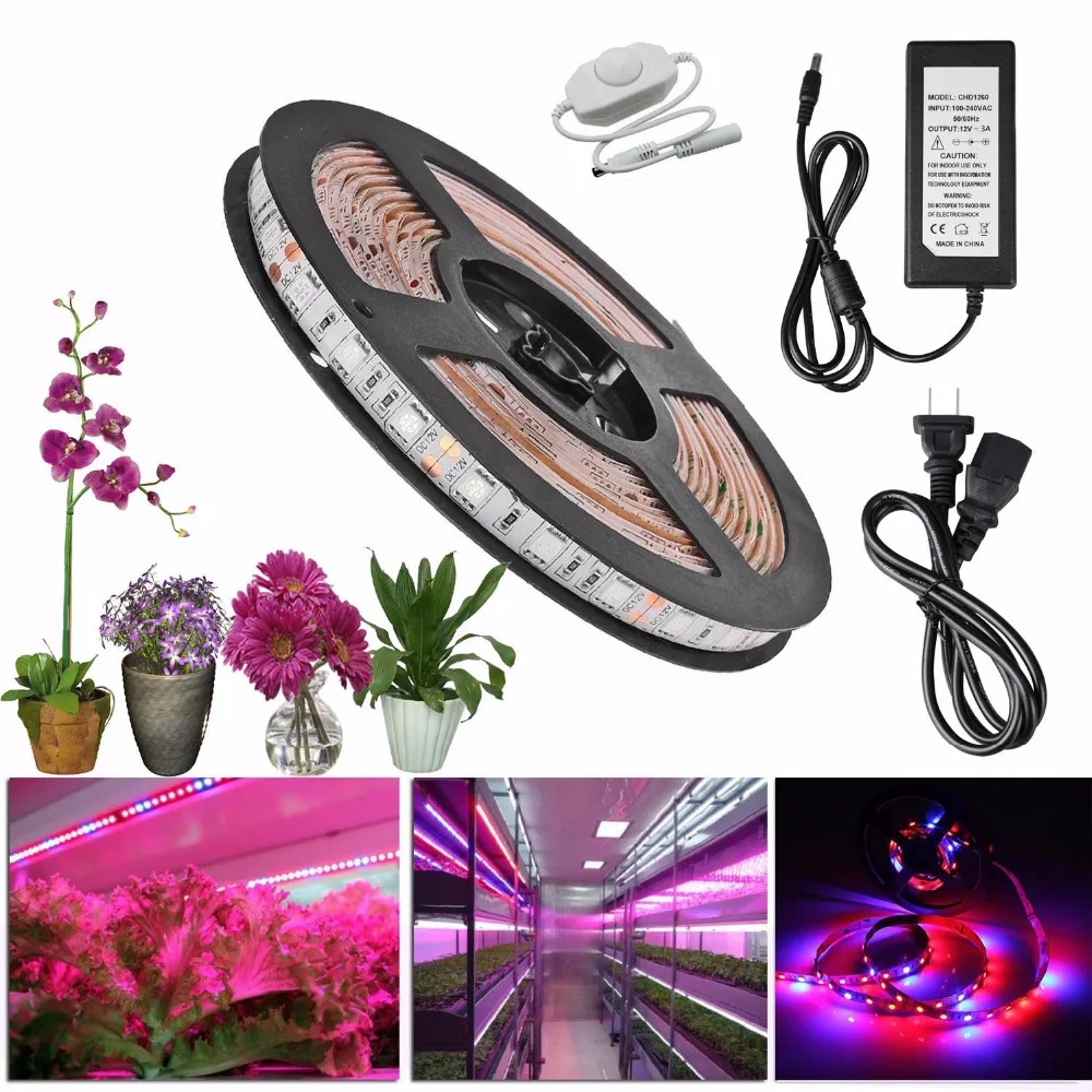 LED Plant Grow Lights 5050 LED Flexible Strip 12V Red Blue 31 41 51