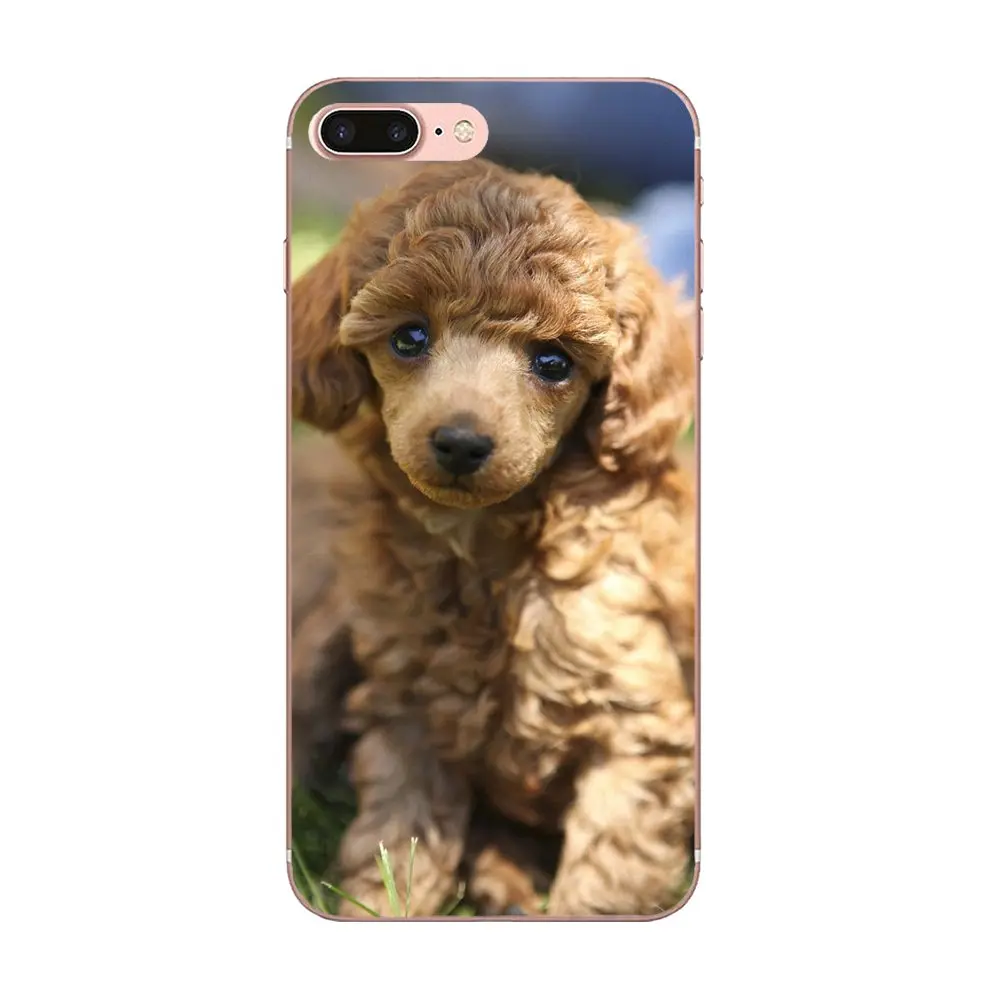 TPU художественный принт для Galaxy J1 J2 J3 J330 J4 J5 J6 J7 J730 J8 2015 2016 2017 2018 mini Pro Игрушка Пудель