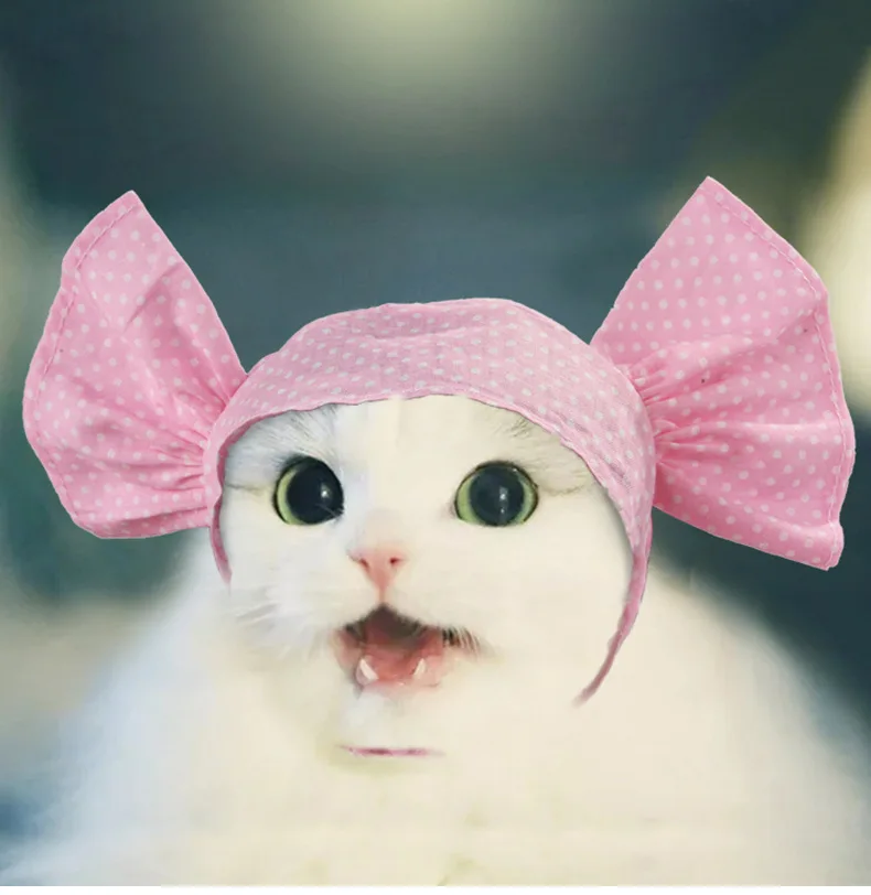Pet Candy Cap Head Cover Funny Pet Headwear Party Hat For Cats Small Dogs Kitten Puppy Cosplay Accessory Outdoor Headscarf (1)