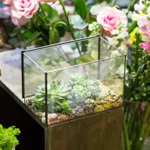 Rectangle Clear Glass Geometric Terrarium Box Tabletop Succulent Moss Micro Landscape Plant Terrarium Bonsai Glass Flower Pot