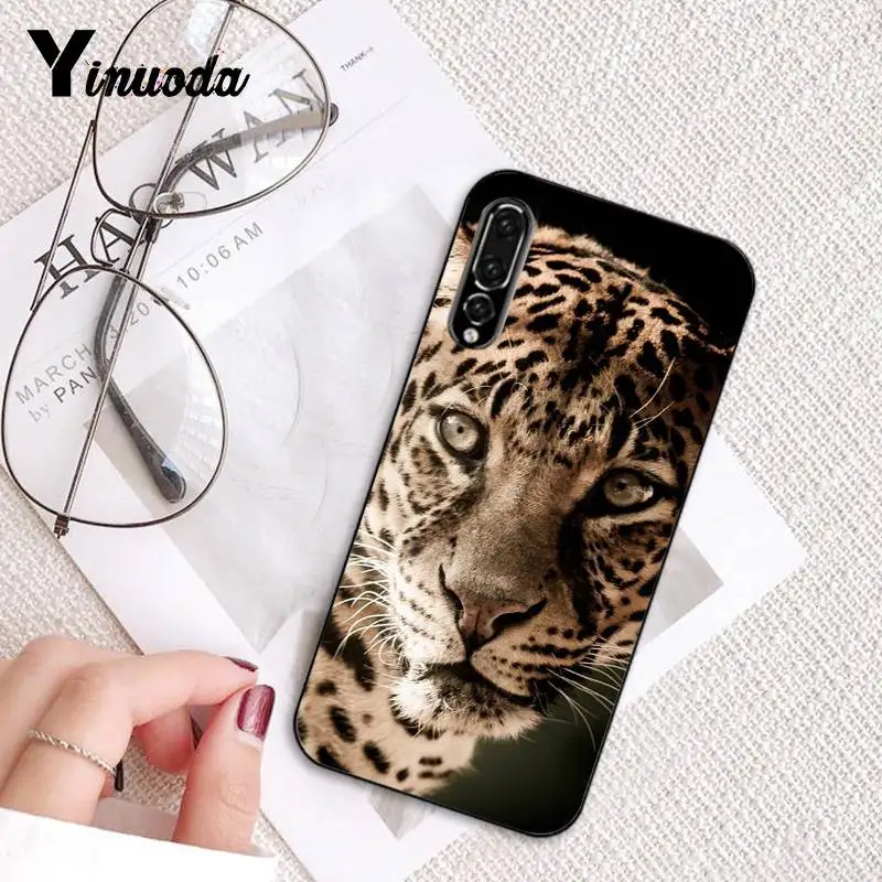 Russian version wolf tiger lion Leopard bear animal