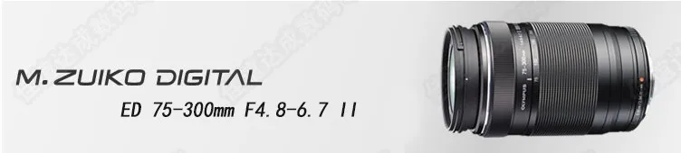 #15.1