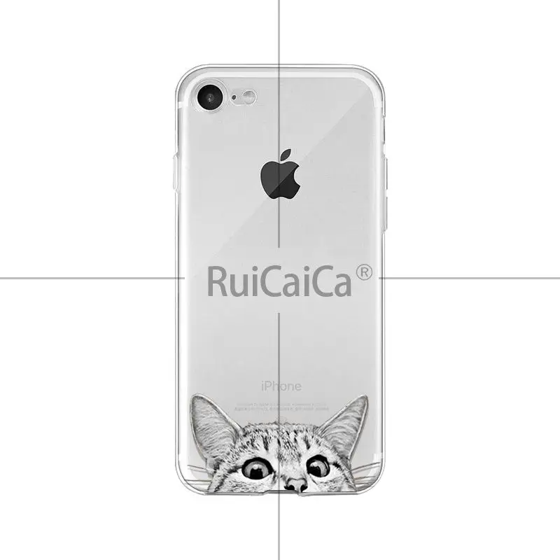 Cute and funny pet dog cat head