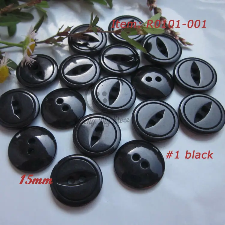 R0101-001#1b