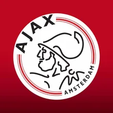 Алмазная картина ajax kids eigen foto алмазная живопись 5D DIY алмазная живопись на заказ алмазная живопись Paw украшение дома