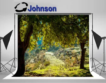 

mediterranean olive field old olive tree photo backdrop Vinyl cloth High quality Computer print scenic background