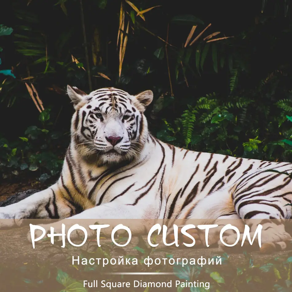 

Custom Photo! Animals photos Full Square/Round Drill 5D DIY Diamond Painting Personal Custom Cross Stitch 5D Mosaic Embroidery