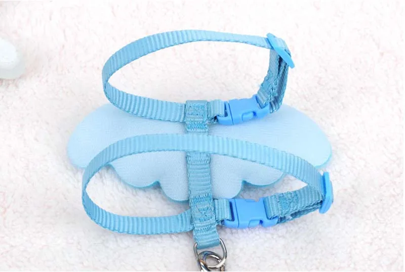 SYDZSW Nylon Pet Leash Cute Angel Wing Small Dog Lead Cat Harness for Chihuahua Yorkshire Dogs Cats Products Pet Accessories Wholesale9