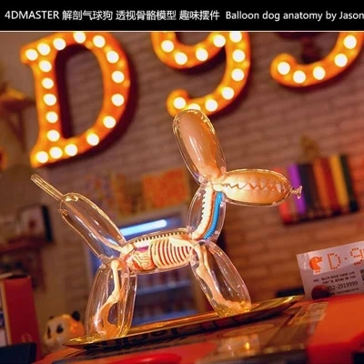 

Gift 4D Balloon Dog Perspective bones model free shipping