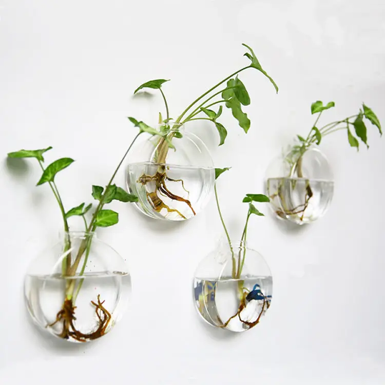 

Set of 4 Wall Hanging Planters Glass Plant Pot Air Plant Terrarium Water Plant Containers Glass Terrariums