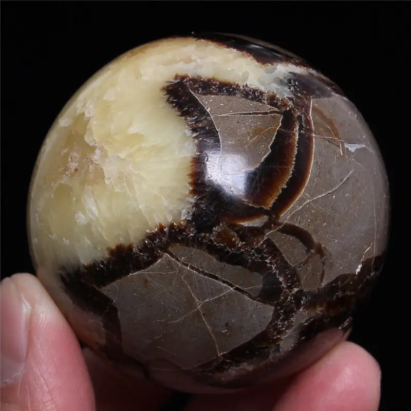 

WW 05156 Natural crystal ball dragon Tortoise Shell healing