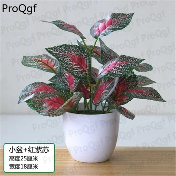 

Prodgf 2Pcs A Set perillia fake