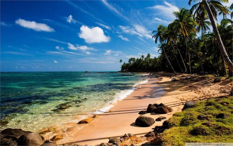 Noms De Maison De Plage Tropicale