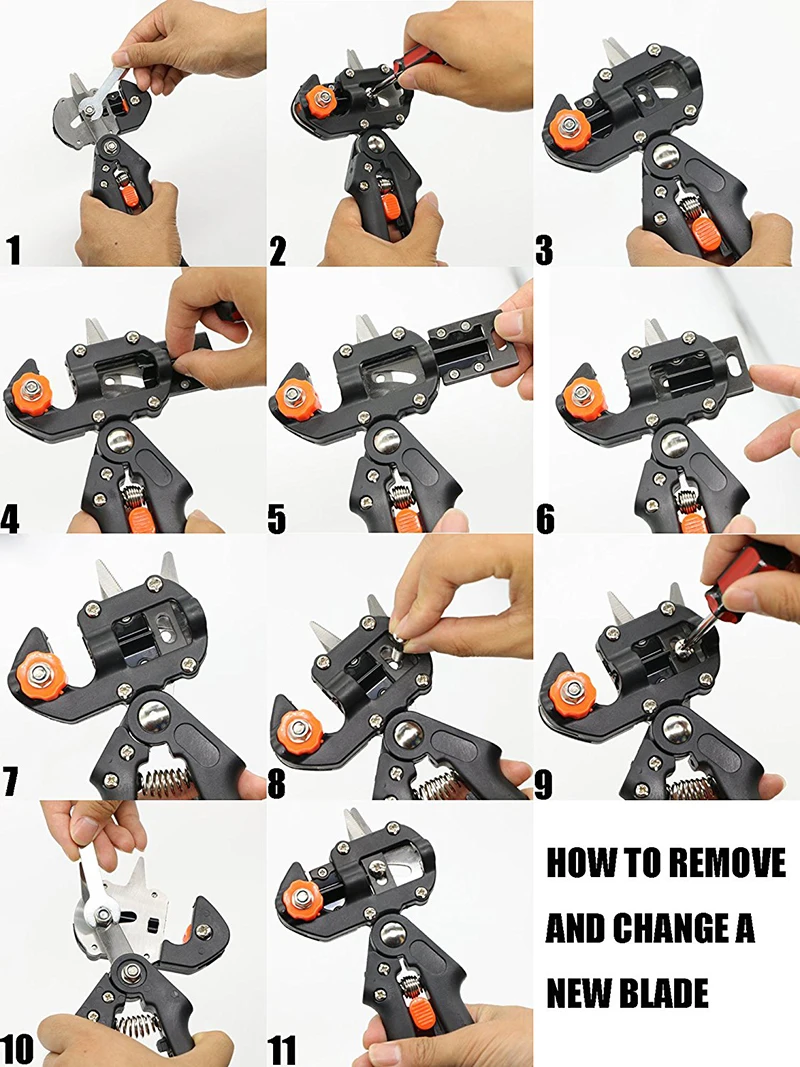 81W0x3jsB7L._SL1500_