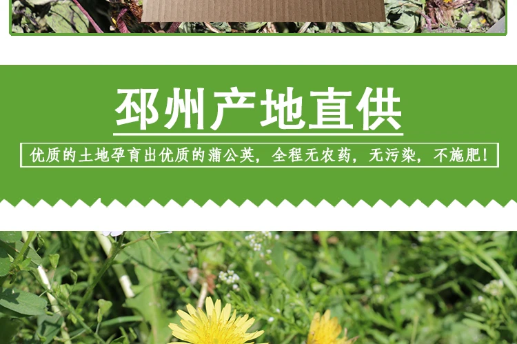 Одуванчик чай Дикий натуральный супер чанбаи горный сухой корень чистый подлинный мать-в-law вся китайская травяная медицина 500 г