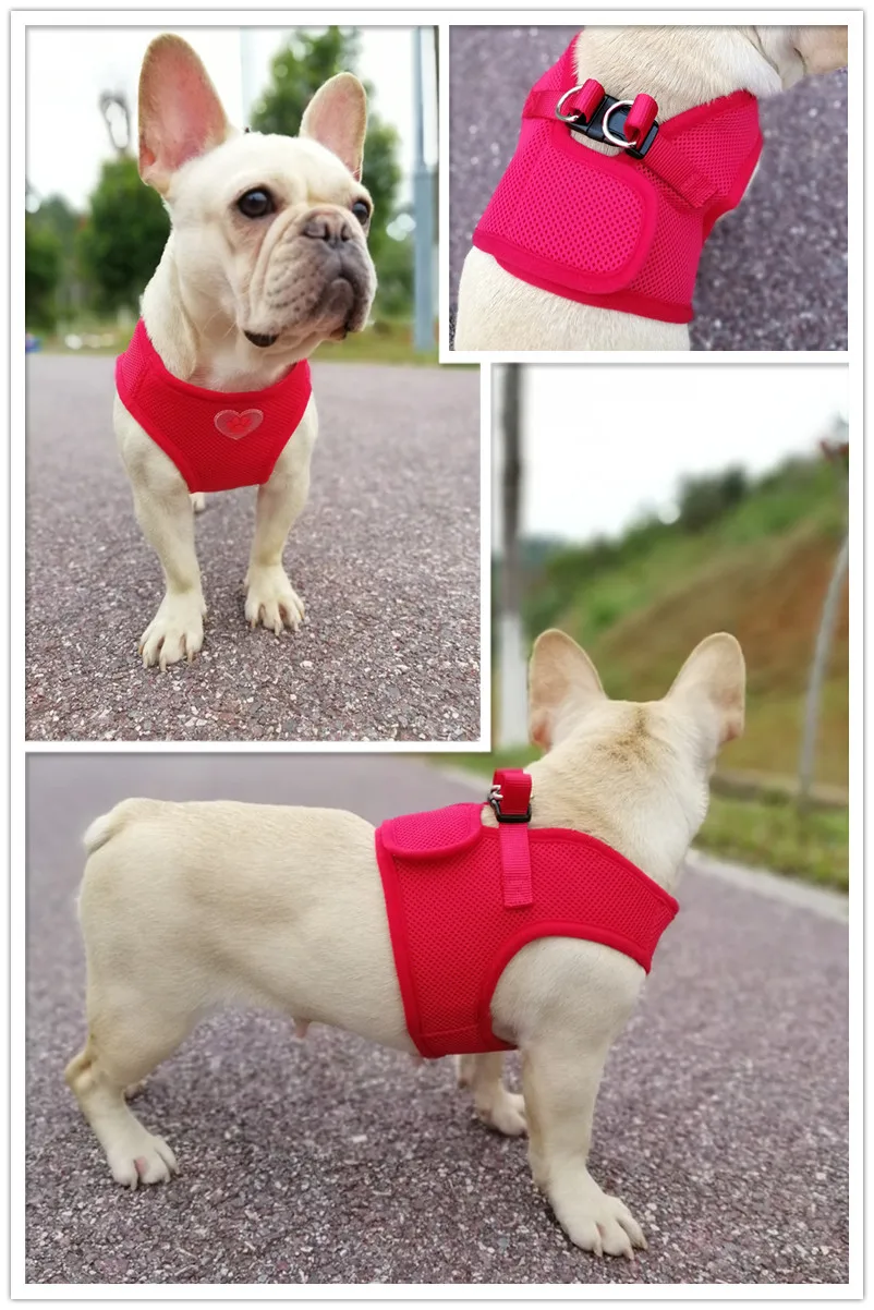 dog harness (3)