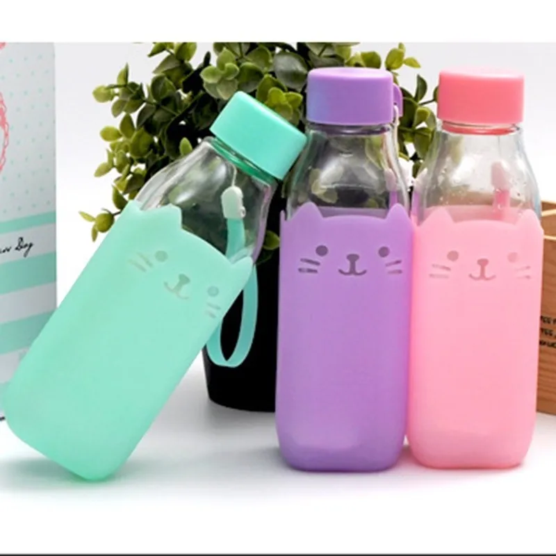 480ML Water Bottle With Bag Leak Proof Glass Drinkware Transparent Fruit Tumbler