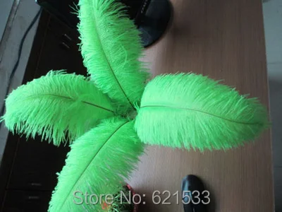 FO110 (4)