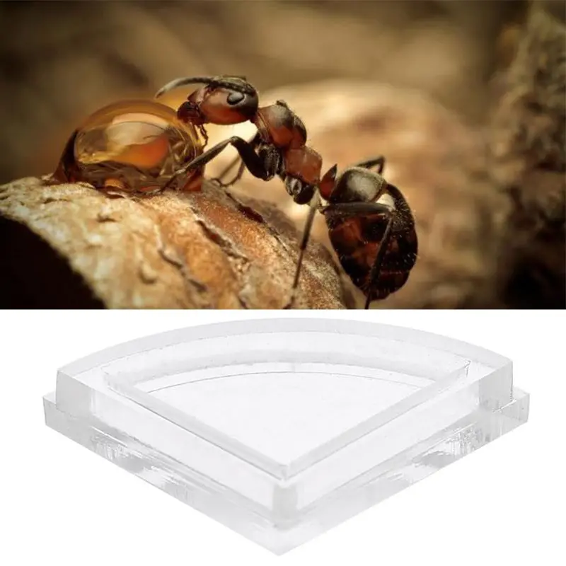 

Acrylic Ant Feeder Ant Farm Area Food Water Bowl For Insect Nests House