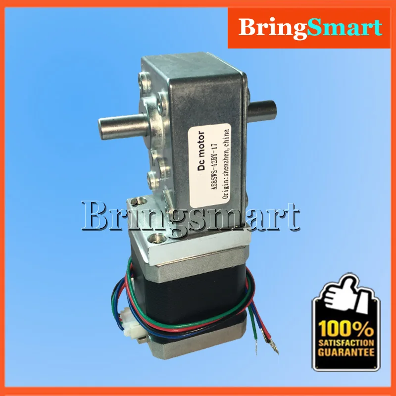 Bringsmart Φ 12V DC шаговый двигатель с двумя выходными валами 24V 4 проводной червячный