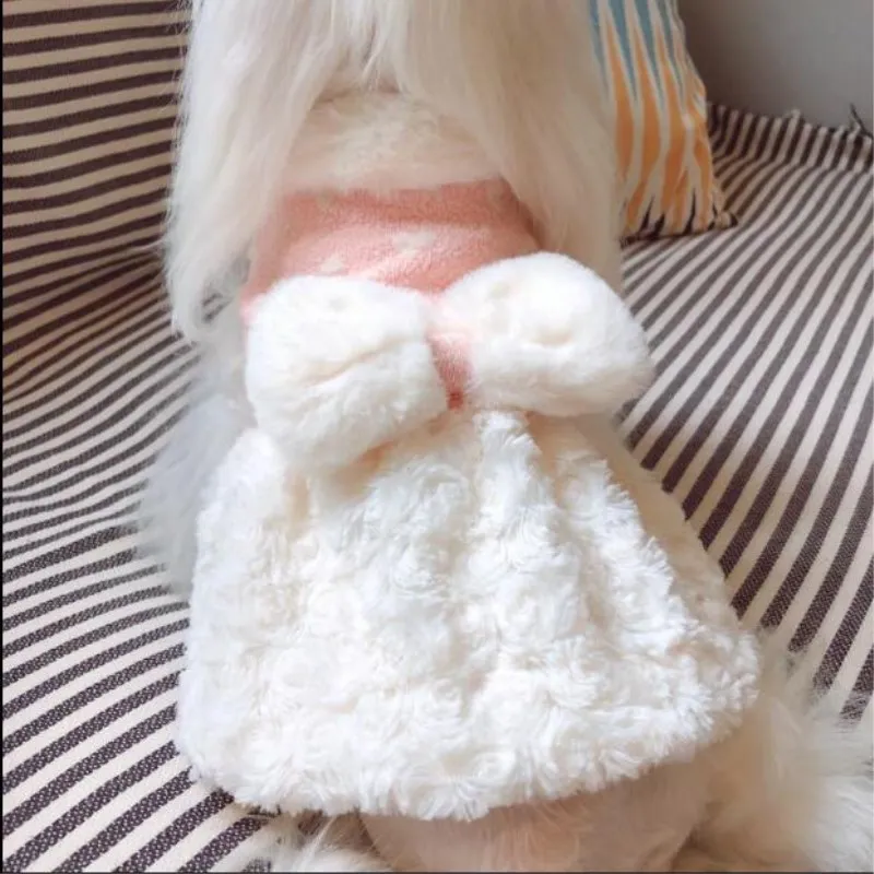 a2