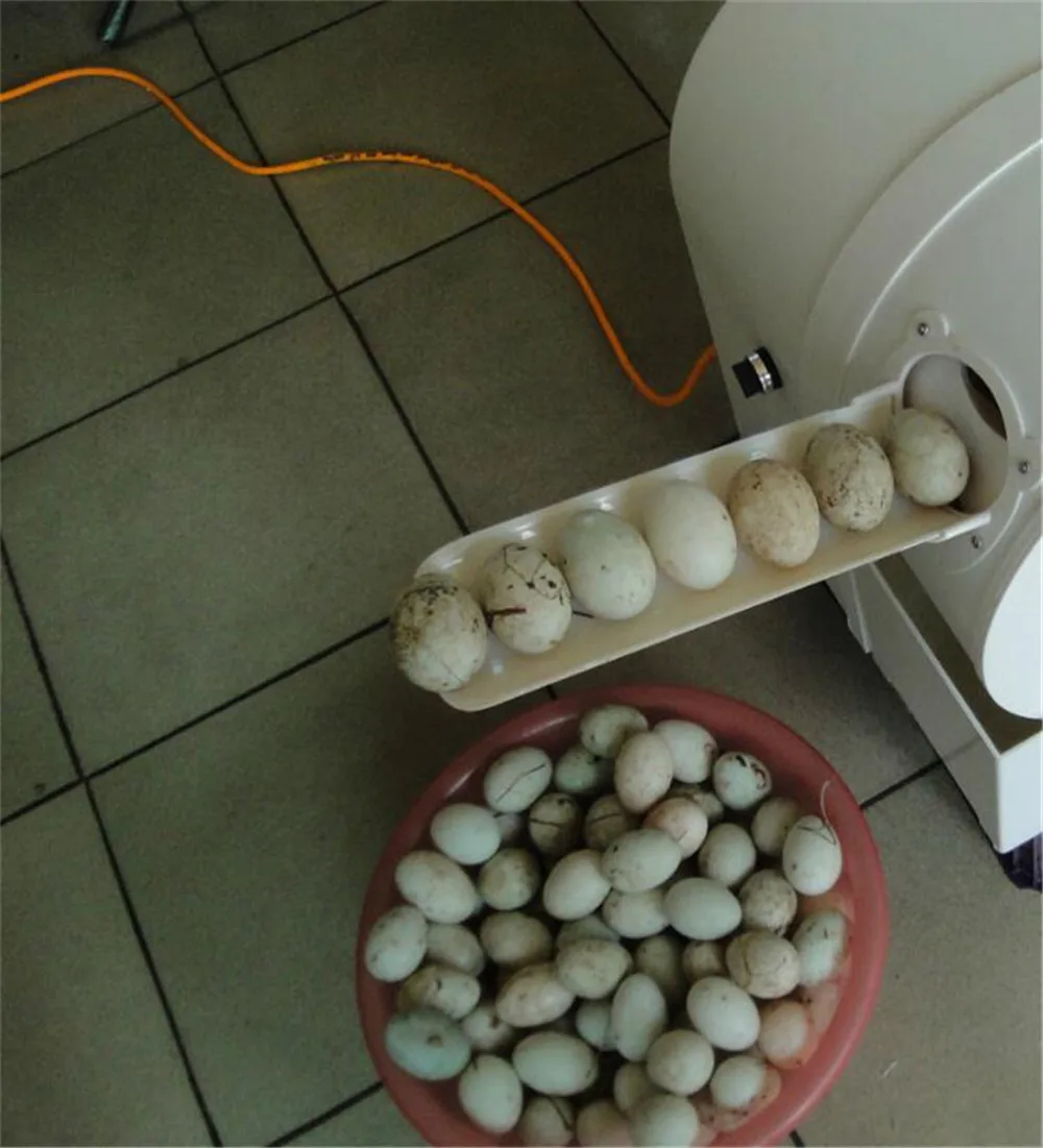 egg washer01
