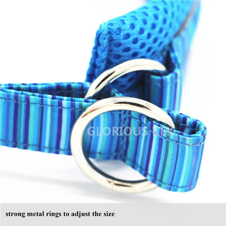 Dog Collars (11)