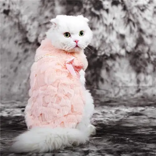 Благородный жилет для кошек из искусственного меха, пальто с жемчугом и бантом, нарядная зимняя одежда для девочек с собачкой Китти, милая розовая одежда