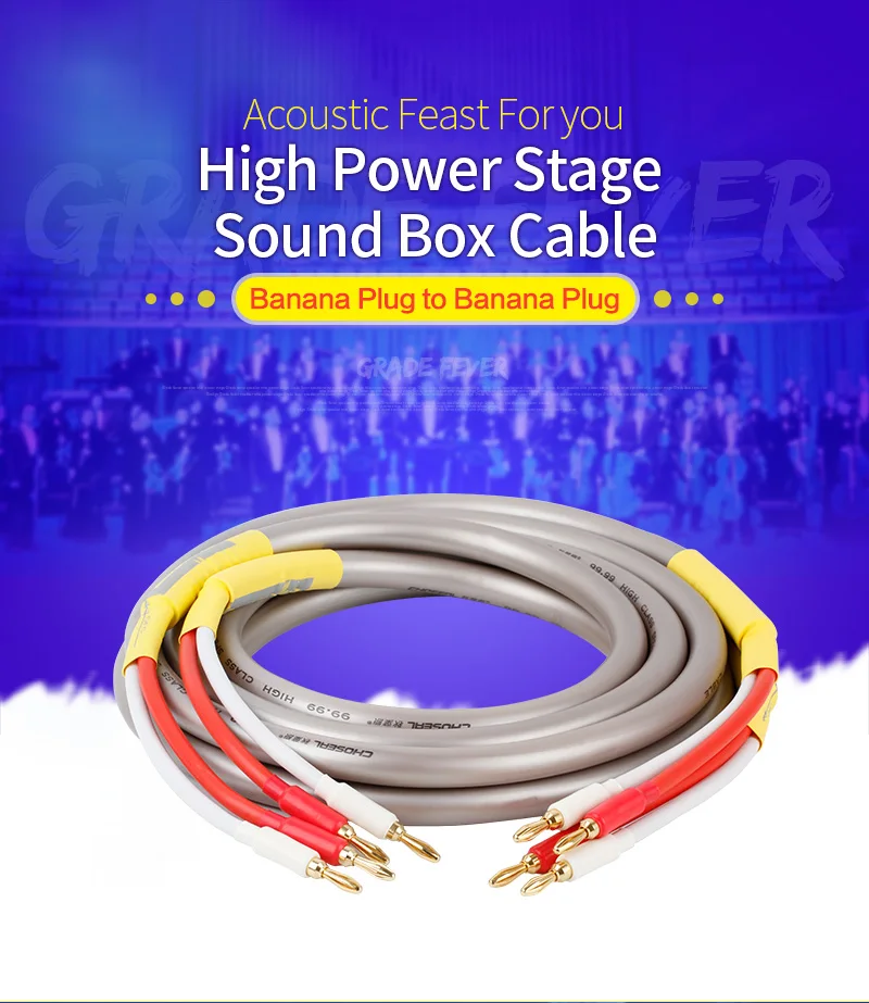 HIFI Speaker Cable Wire with Banana Plug (1)