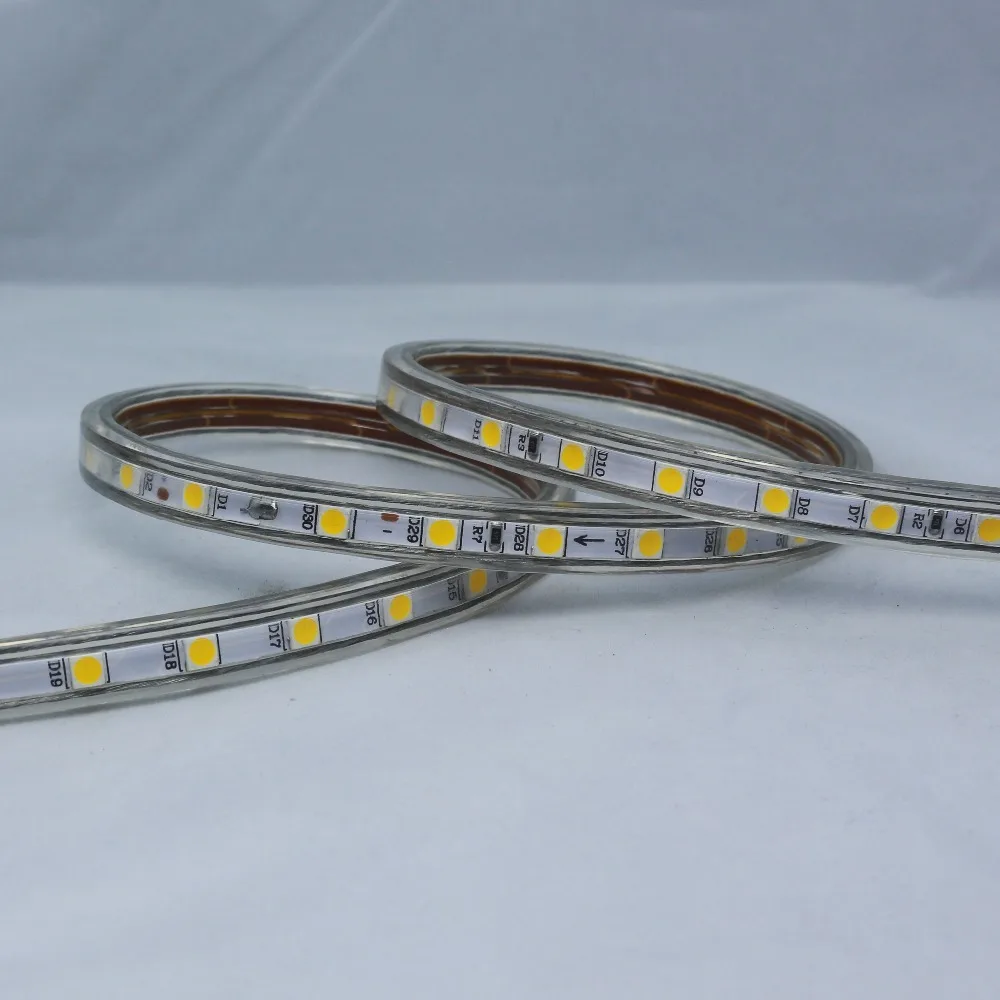 LED Strip light 5050 60Leds/M IP65 Waterproof LED Tape light 1M 2M 3M