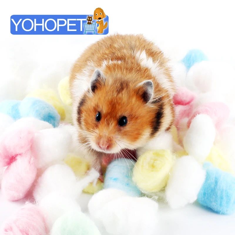 Игрушка для домашних животных Гвинеи свинка хомяк домик кровать Сирия