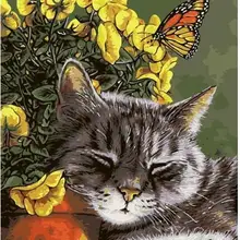 21073 милый кот-краска по комплекты номеров для взрослых DIY