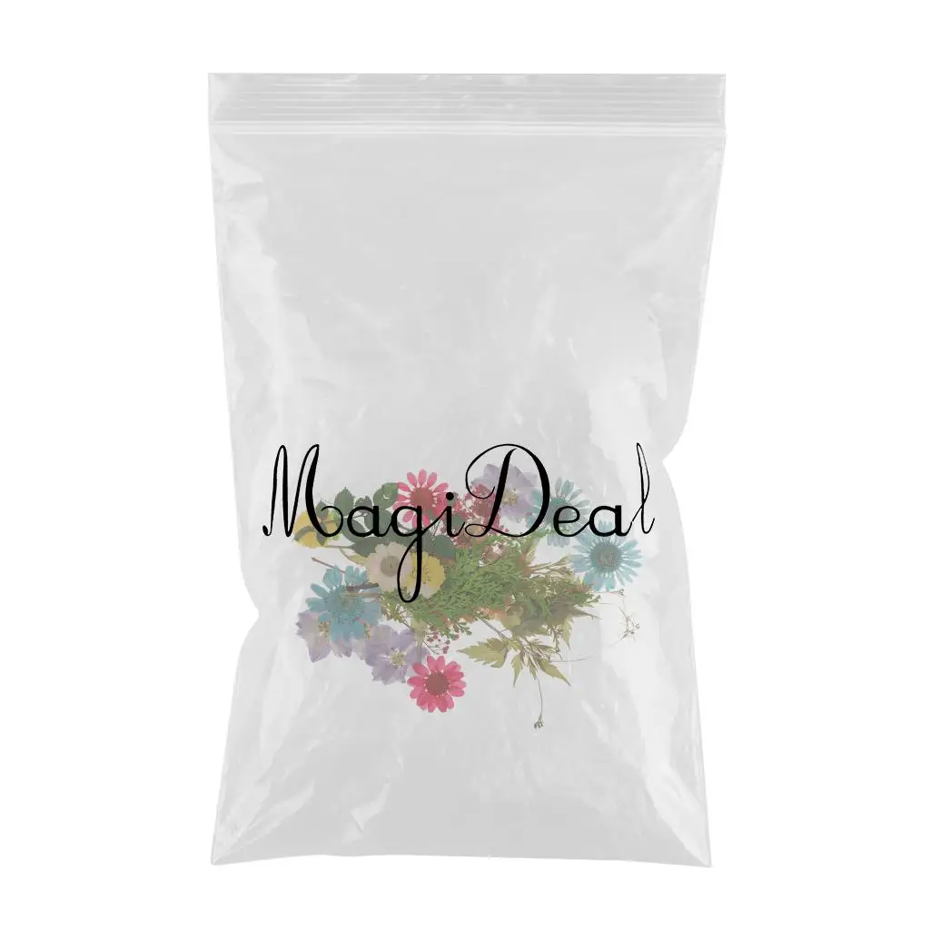 Pack Of Natural Dried Flower Real Flower Mixed For DIY Resin Ornament Craft Card Making Scrapbooking Embellishment Floral Design