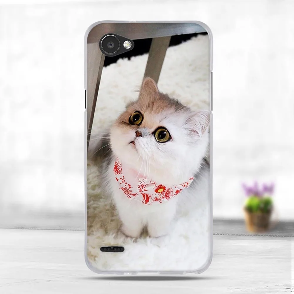 45 Чехол для lg Q6 чехол силиконовый Мобильный чехол для телефона для lg Q6 Alpha чехол Мягкие Чехлы из ТПУ для lg Q6 плюс M700N lg q6 сзади чехол s класса люкс - Цвет: 45