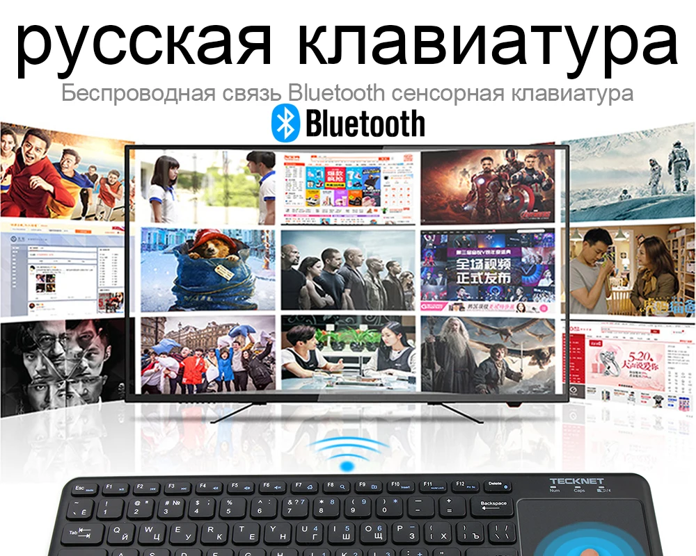 BX501_01