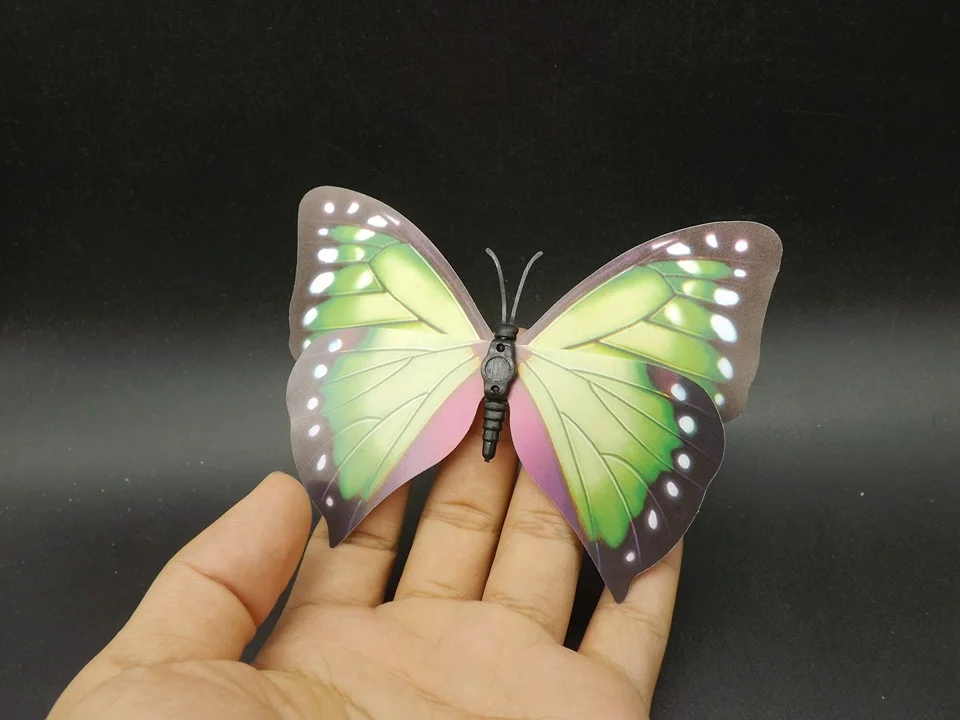 I238-Butterfly (4)