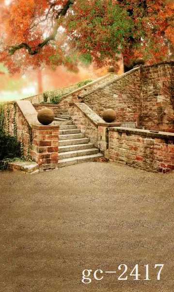 

5x10ft Vinyl Custom Photography Backdrops Props Photo theme Backgrounds GC-2417