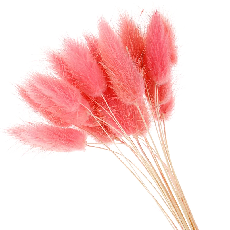 

20pcs natural dried flowers lagurus white artificial flowers colorful fake rabbit tail grass ovatus foxtail bouquet long bunches